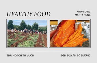 [🆕🇻🇳] Mơ – Fruits and Flowers – Set quà tặng trái cây và hoa tươi cao cấp 🍔 Top1Food  🍜 Tại sao Mơ dám bao đổi trả đối với khoai lang mật Tà Nung?
Mơ nhập tận vườn tại Tà Nung.
Tỉ lệ sâu sùng sượng khá ít.
Mơ luôn chú trọng chất lượng sản ph , shares-1✔️ , likes-3❤️️ , date-2025-07-17 18:17:03🇻🇳🇻🇳🇻🇳📰🆕