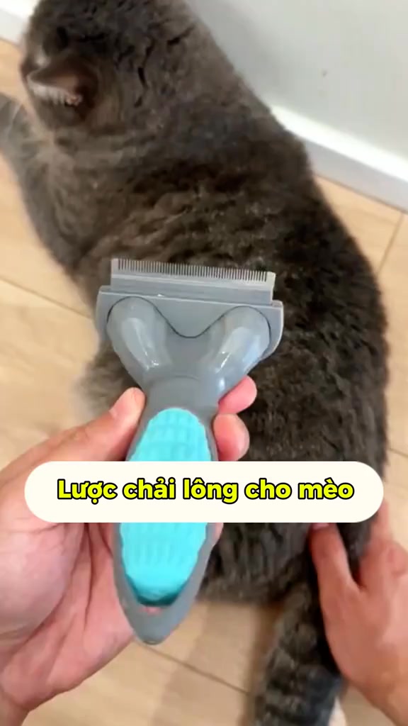 [🆕🇻🇳] Pi Sà Pet Shop – cửa hàng đồ thú cưng cao cấp, chuyên cung cấp thức ăn, phụ kiện, đồ dùng chó mèo 🐶🦜 Top1Pets 🐱🐠 Lu01b0u1ee3c chu1ea3i lu00f4ng chu00f3 mu00e8o cao cu1ea5p | Giu1ea3m lu00f4ng ru1ee5ng – Gu1ee1 lu00f4ng ru1ed1i cho chu00f3 mu00e8o u25b6 , shares-1✔️ , likes-5❤️️ , date-2025-07-18 05:39:05🐶🐱🇻🇳🇻🇳🇻🇳📰🆕