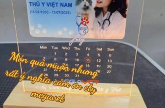[🆕🇻🇳] Bệnh Viện Thú Y Petty Care – Spa & Pet Shop 🐶🦜 Top1Pets 🐱🐠 Chăm sóc thú cưng toàn diện
Dịch vụ duy nhất 185 kim mã
Không gian sạch sẽ
Trang thiết bị đầy đủ .
Cám ơn các bạn đã ghé qua
–‐————-‐——– , shares-0✔️ , likes-4❤️️ , date-2025-07-21 00:18:09🐶🐱🇻🇳🇻🇳🇻🇳📰🆕