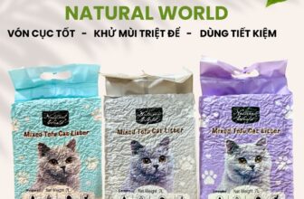 [🆕🇻🇳] Pet Market – Chuyên Bán Buôn – Bán Lẻ Phụ Kiện Chó Mèo 🐶🦜 Top1Pets 🐱🐠  CÁT MIX NATURAL WORLD – KẾT HỢP HOÀN HẢO GIỮA TỰ NHIÊN VÀ HIỆU QUẢ!Bạn đang phân vân giữa cát đậu nành thơm tự nhiên và cát đất sét vón siêu chặt? Đừng  , shares-0✔️ , likes-1❤️️ , date-2025-07-19 01:07:41🐶🐱🇻🇳🇻🇳🇻🇳📰🆕