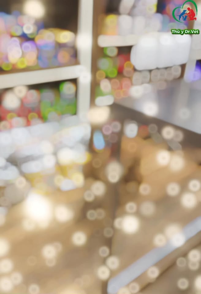 [🆕🇻🇳] Phòng Khám Thú Y Dr. VET – BÌNH CHÁNH 🐶🦜 Top1Pets 🐱🐠 Phẫu thuật gãy xương chân trước bằng nẹp Titannium
———————–
𝐏𝐇𝐎̀𝐍𝐆 𝐊𝐇𝐀́𝐌 𝐓𝐇𝐔́ 𝐘 𝐃𝐑.𝐕𝐄𝐓
Địa chỉ: 1391 Quốc Lộ 50- Phong Phú- Bình Chánh- H , shares-0✔️ , likes-13❤️️ , date-2025-07-24 01:34:11🐶🐱🇻🇳🇻🇳🇻🇳📰🆕