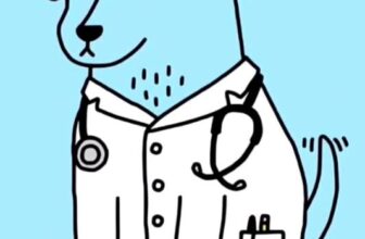 [🆕🇻🇳] Bệnh viện thú y Pet Home 🐶🦜 Top1Pets 🐱🐠 Bệnh viện thú y Pet Home
#trietsan #thucung #phauthuat
298,Trần Quốc Toản,Bình Đa , shares-0✔️ , likes-0❤️️ , date-2025-08-07 03:40:33🐶🐱🇻🇳🇻🇳🇻🇳📰🆕