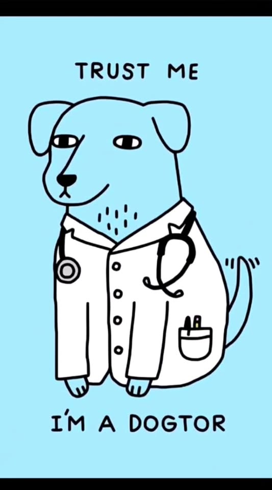 [🆕🇻🇳] Bệnh viện thú y Pet Home 🐶🦜 Top1Pets 🐱🐠 Bệnh viện thú y Pet Home
#trietsan #thucung #phauthuat
298,Trần Quốc Toản,Bình Đa , shares-0✔️ , likes-0❤️️ , date-2025-08-07 03:40:33🐶🐱🇻🇳🇻🇳🇻🇳📰🆕