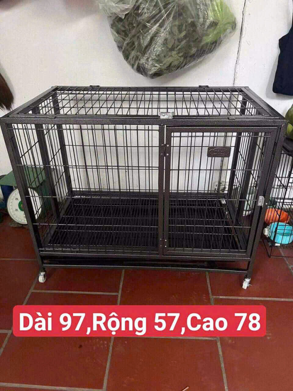 [🆕🇻🇳] Ruby Pet – Spa & Coffee 🐶🦜 Top1Pets 🐱🐠 MÌNH  ĐỨNG TRC NGUY CƠ MẤT SỐ TIỀN HÀNG TRĂM TRIỆU
Cơ sở vật chất  rất là tốt và phải đầu tư toàn bộ
Tầng 1 + 2 sửa sang tường trống thấm sau đó là sơn  , shares-3✔️ , likes-16❤️️ , date-2025-08-06 20:08:11🐶🐱🇻🇳🇻🇳🇻🇳📰🆕