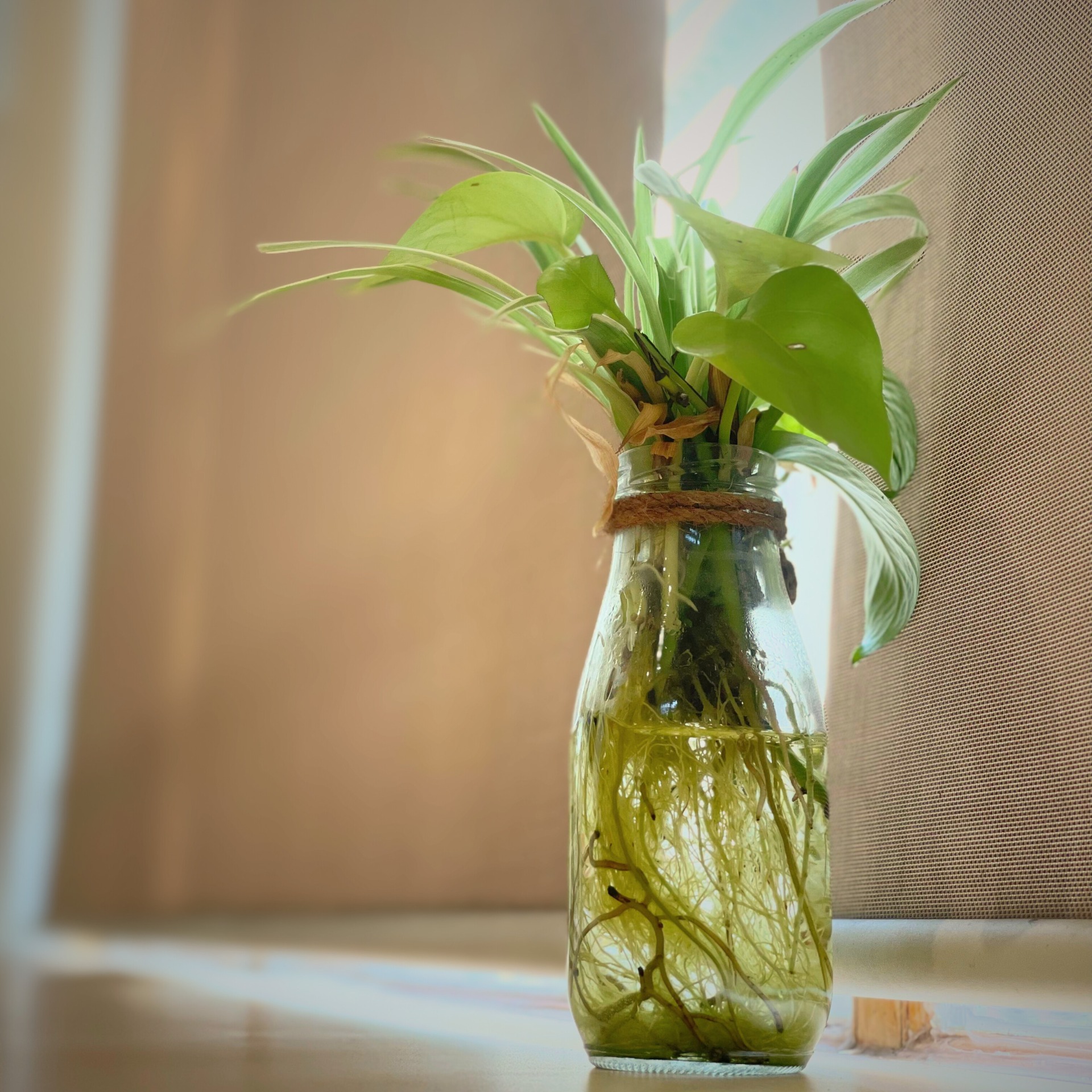 [☕️🇻🇳] D.O.M- Coffee Capsule 🥤 Top1Coffee ☕️ Coffee in Bed tại Dom– Nơi cho những trái tim cần một chỗ dừng lại
Có bao giờ bạn thấy mệt mỏi giữa những ngày quay cuồng công  , shares-0✔️ , likes-1❤️️ , date-2025-08-06 21:28:42🇻🇳🇻🇳🇻🇳📰🆕