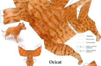 [🆕🇻🇳] Meowy Pet Shop 🐶🦜 Top1Pets 🐱🐠 Khi bạn muốn nuôi mèo nhưng không muốn dọn
Cre: Đảo Mèo
, shares-0✔️ , likes-2❤️️ , date-2025-08-08 00:14:08🐶🐱🇻🇳🇻🇳🇻🇳📰🆕