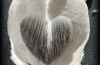 [🆕🇻🇳] Nấm Pet – Spa & Dịch Vụ Thú Cưng Tp Thái Bình 🐶🦜 Top1Pets 🐱🐠 Các bé mèo sau khi được “biến hình” tại spa – bộ lông gọn gàng, sạch sẽ và siêu đáng yêu!
Tỉa lông chuyên nghiệp – tạo kiểu độc đáo – giúp thú cưng mát mẻ , shares-0✔️ , likes-1❤️️ , date-2025-08-12 04:28:12🐶🐱🇻🇳🇻🇳🇻🇳📰🆕