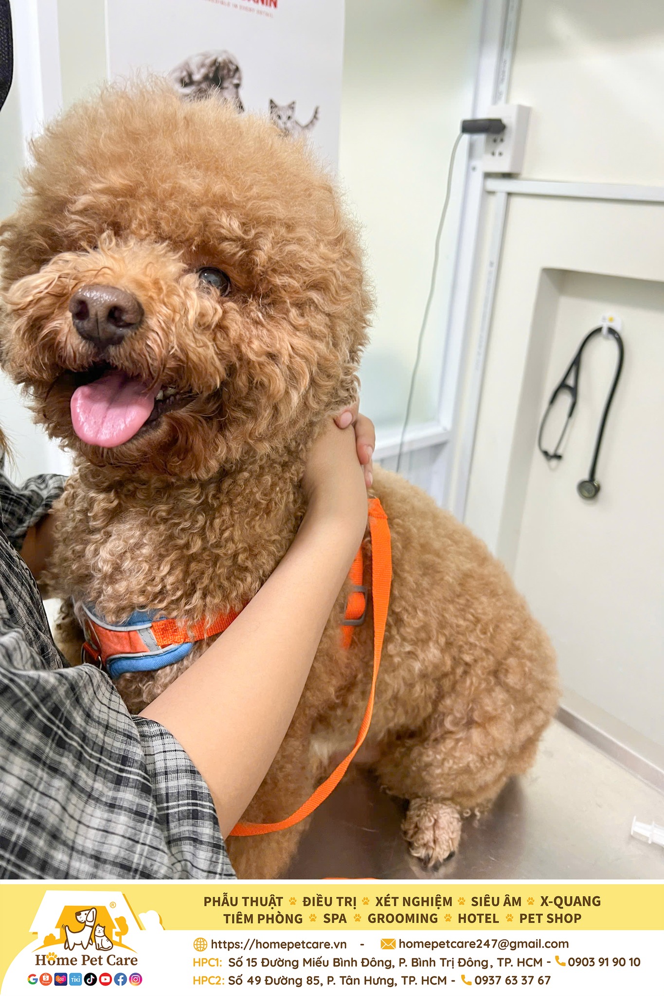 [🆕🇻🇳] Phòng Khám Thú Y Home Pet Care – Cơ sở Quận 7 🐶🦜 Top1Pets 🐱🐠  Gương mặt đẹp trai như vậy… mà lại có gì lạ sau mông thế này?!Bé poodle đến 𝐇𝐨𝐦𝐞 𝐏𝐞𝐭 𝐂𝐚𝐫𝐞 để kiểm tra vì sau mông xuất hiện một “cục tròn tròn”, mà ngà , shares-1✔️ , likes-4❤️️ , date-2025-08-27 17:00:43🐶🐱🇻🇳🇻🇳🇻🇳📰🆕