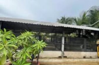 [🆕🇻🇳] Thú y PET HẬU NGHĨA – Thiên đường thú cưng 🐶🦜 Top1Pets 🐱🐠 Bình luận đã bị tắt cho bài viết này.
, shares-0✔️ , likes-0❤️️ , date-2025-08-11 21:53:21🐶🐱🇻🇳🇻🇳🇻🇳📰🆕