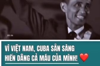 [🆕🇻🇳] Shop SuBin Baby – Chuyên đồ cho bé 🧑‍🧒❤️️👶⭐️  , shares-0✔️ , likes-1❤️️ , date-2025-08-16 19:57:56🇻🇳🇻🇳🇻🇳📰🆕