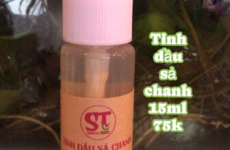 [🆕🇻🇳]  Thời trang trẻ em Sáu Tính 🧑‍🧒❤️️👶⭐️ Shop có bán tinh dầu tự nhiên
Mom nên mua để dùng thường xuyên
Đuổi muỗi, giữ không khí thơm mát  và nhiều công dụng khác …
, shares-0✔️ , likes-0❤️️ , date-2025-08-13 21:50:48🇻🇳🇻🇳🇻🇳📰🆕
