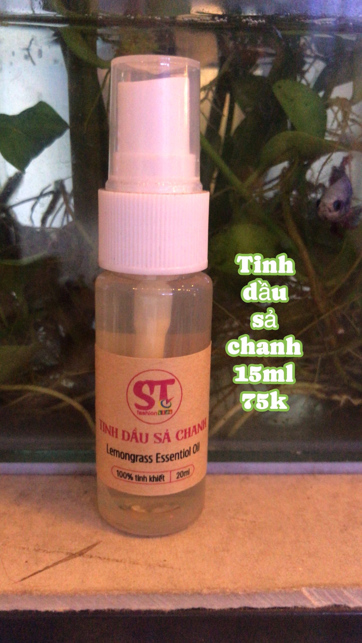 [🆕🇻🇳]  Tutupetti House  – Chuyên đầm bé gái, đầm công chúa Tutupetti với giá ưu đãi mỗi ngày 🧑‍🧒❤️️👶⭐️ Mùa thu 2025 gọi tên: be ấm, vàng bơ, xanh olive  Mẹ chọn gam nào để bé xinh nổi bật?” #TutupettiTrends #GamMauThu2025 #DamCongChua
, shares-0✔️ , likes-3❤️️ , date-2025-08-13 21:41:21🇻🇳🇻🇳🇻🇳📰🆕