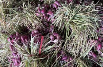 [🆕🇻🇳] BẾP CÔ LUYẾN – Đặc Sản Quảng Ngãi 🍔 Top1Food  🍜  Lên Đơn Tranh Thủ Anh Chị ơi
Giá Lẻ Bằng Giá Sỉ thôi ạ 50K/Kg.
Ưu Đãi Cho Ac mua kèm tỏi lý sơn và sa tế nhé
, shares-2✔️ , likes-10❤️️ , date-2025-08-13 17:12:04🇻🇳🇻🇳🇻🇳📰🆕