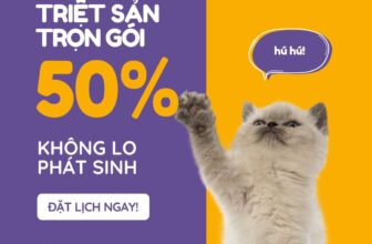[🆕🇻🇳] Bệnh Viện Thú Y Vetcenter – Hà Nội 🐶🦜 Top1Pets 🐱🐠  TRIỆT SẢN TRỌN GÓI – KHÔNG LO PHÁT SINH!Đã bao gồm:
– Khám & check sức khỏe
– Gây mê an toàn
– Chăm sóc hậu phẫuMột giá trọn gói – Boss khỏe, Se , shares-3✔️ , likes-12❤️️ , date-2025-08-13 18:40:12🐶🐱🇻🇳🇻🇳🇻🇳📰🆕