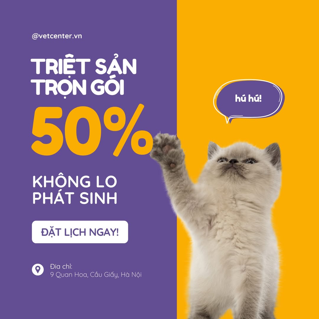 [🆕🇻🇳] Bệnh Viện Thú Y Vetcenter – Hà Nội 🐶🦜 Top1Pets 🐱🐠  TRIỆT SẢN TRỌN GÓI – KHÔNG LO PHÁT SINH!Đã bao gồm:
– Khám & check sức khỏe
– Gây mê an toàn
– Chăm sóc hậu phẫuMột giá trọn gói – Boss khỏe, Se , shares-3✔️ , likes-12❤️️ , date-2025-08-13 18:40:12🐶🐱🇻🇳🇻🇳🇻🇳📰🆕