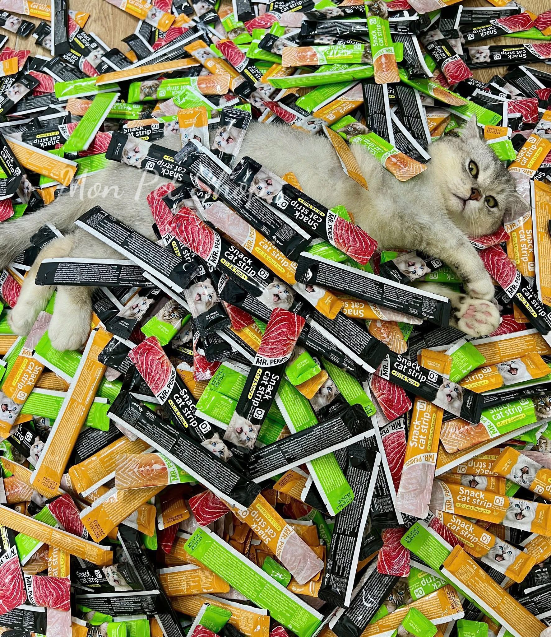 [🆕🇻🇳] Tiệm Mèo Mon 🐶🦜 Top1Pets 🐱🐠  SÚP THƯỞNG CHỈ 79K/ 1 THÙNG MIX 3 VỊSúp thưởng MR. PEABODY mới ra mắt với 3 vị siêu hấp dẫn: gà, cá hồi, bò
Chỉ #79K_1thùng – #237K_3thùng tặng thêm 1 , shares-0✔️ , likes-0❤️️ , date-2025-08-15 09:55:07🐶🐱🇻🇳🇻🇳🇻🇳📰🆕