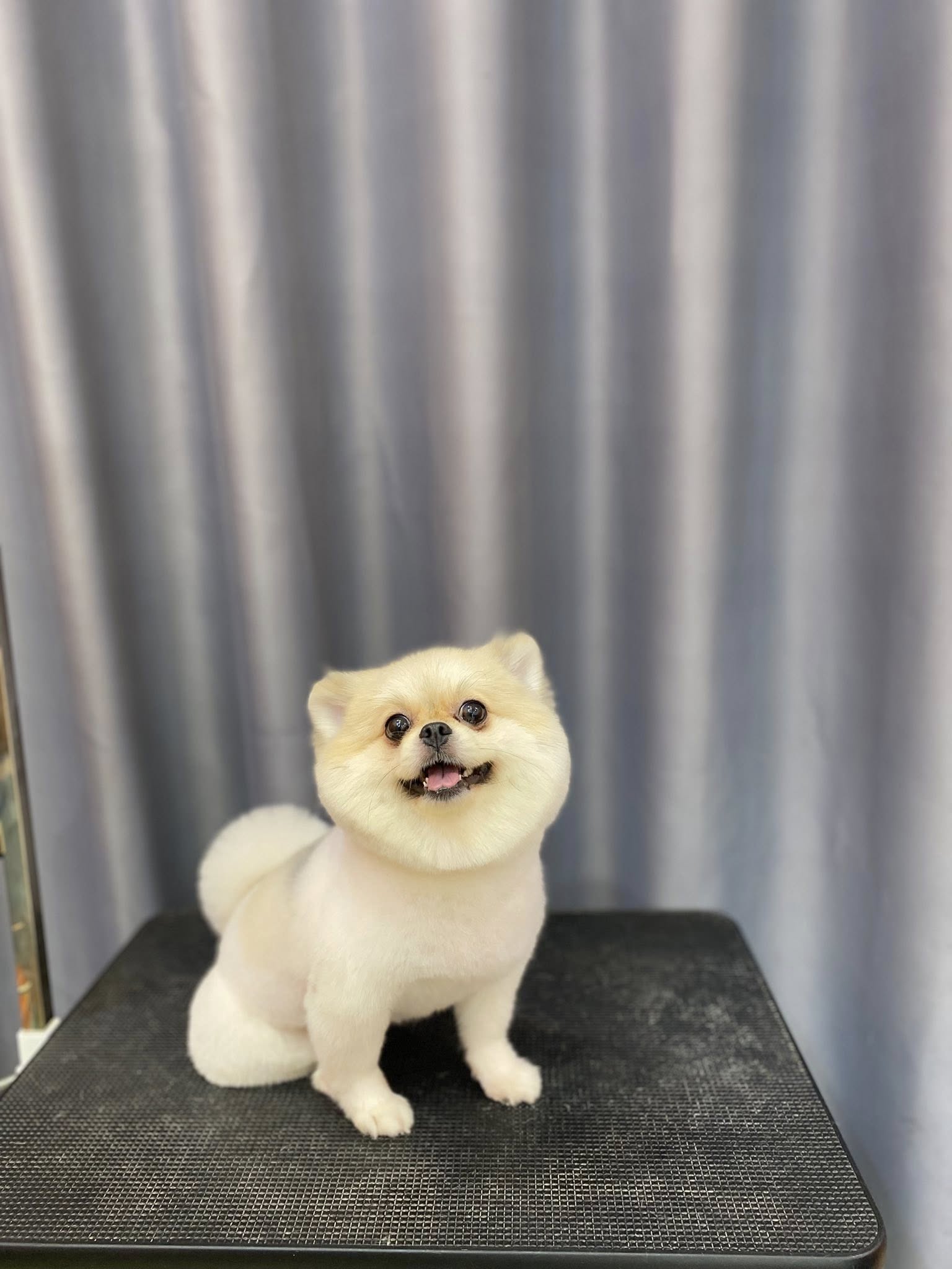 [🆕🇻🇳] Pety Station Quận 8 – Spa, grooming, hotel, thức ăn và phụ kiện cho thú cưng 🐶🦜 Top1Pets 🐱🐠 Siêu mát mẻ𝑻𝒉𝒐̂𝒏𝒈 𝒕𝒊𝒏 𝒍𝒊𝒆̂𝒏 𝒉𝒆̣̂:
Fanpage: Pety Station Quận 8
Địa chỉ: 582 Hưng Phú, Phường 9, Quận 8
Gg maps:
Hotline: 084 2161157
, shares-0✔️ , likes-0❤️️ , date-2025-08-20 19:16:01🐶🐱🇻🇳🇻🇳🇻🇳📰🆕