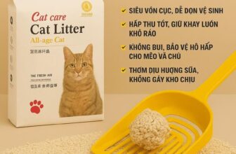 [🆕🇻🇳] Minh Châu pet 🐶🦜 Top1Pets 🐱🐠  CÁT VỆ SINH MÈO ĐẬU LÀNH – CAT LITTER NỘI ĐỊA TRUNG QUỐCTại sao nên chọn Cat Litter?
Ít bụi – an toàn cho mèo và chủ
Vón cục siêu tốt – dễ dọn, tiết , shares-1✔️ , likes-12❤️️ , date-2025-08-20 21:24:09🐶🐱🇻🇳🇻🇳🇻🇳📰🆕