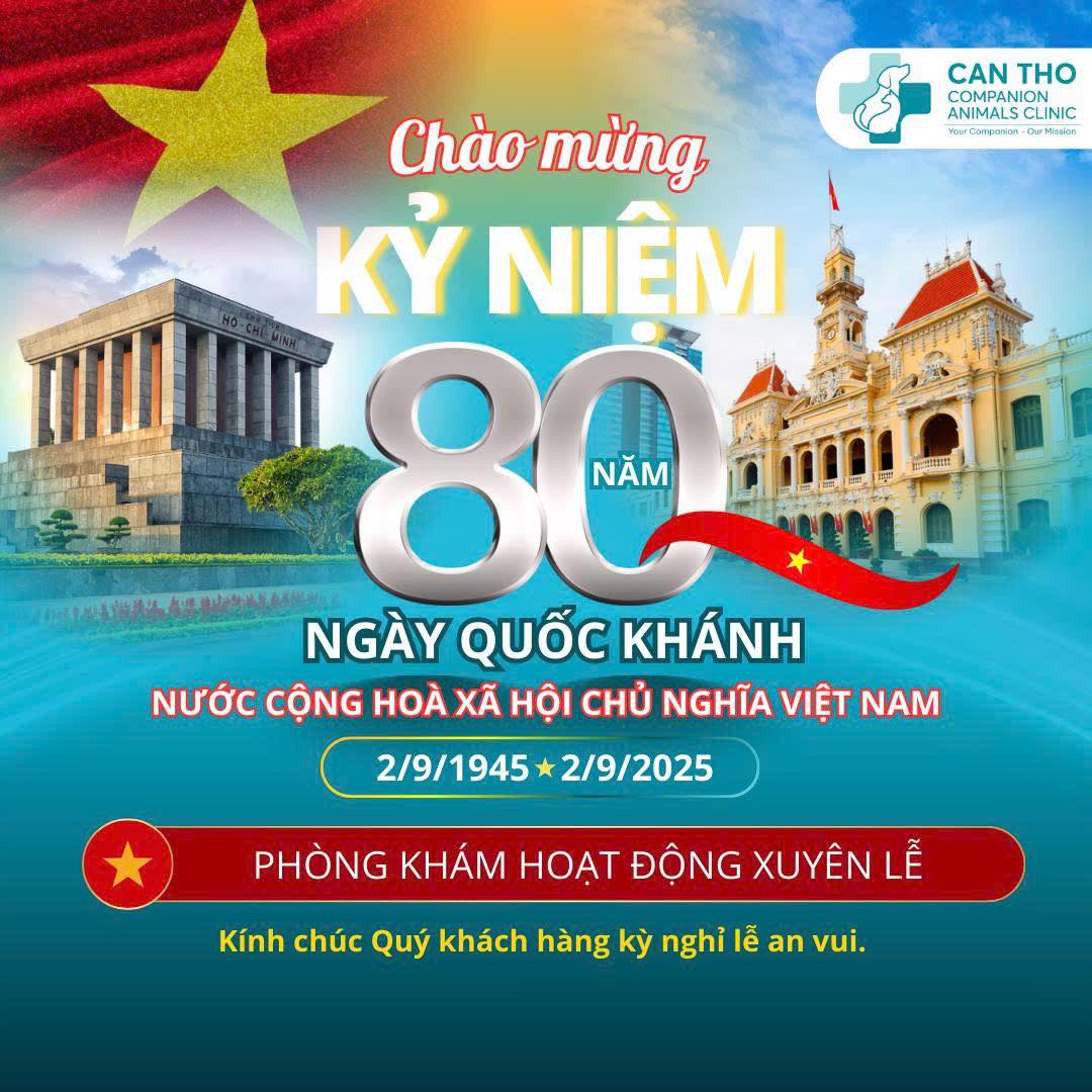 [🆕🇻🇳] Phòng khám Thú y Đồng Hành Cần Thơ 🐶🦜 Top1Pets 🐱🐠 THÔNG BÁO: PKTY ĐỒNG HÀNH CẦN THƠ HOẠT ĐỘNG XUYÊN LỄCấp cứu thú y 24/24, khám tại nhà
Khám và điều trị nội ngoại trú
Xét nghiệm, siêu âm, XQuang
Spa
Pets , shares-4✔️ , likes-7❤️️ , date-2025-08-31 16:47:40🐶🐱🇻🇳🇻🇳🇻🇳📰🆕