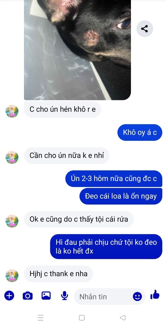 [🆕🇻🇳] Phòng khám thú y Thiên Ân 🐶🦜 Top1Pets 🐱🐠 Đúng thuốc là 1 phần.
Phần còn lại là sự hợp tác của chủ và cún.
, shares-0✔️ , likes-0❤️️ , date-2025-08-22 14:51:48🐶🐱🇻🇳🇻🇳🇻🇳📰🆕