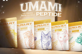 [🆕🇻🇳] Meowy Pet Shop 🐶🦜 Top1Pets 🐱🐠 #New  UMAMI – BÍ MẬT VỊ GIÁC TRONG PATE CÁ NGỪ PEPTIDEKhông chỉ chua, đắng, mặn, ngọt – Umami, vị giác thứ 5 mới là “chìa khóa” khiến bé mèo ăn ngon mê  , shares-0✔️ , likes-0❤️️ , date-2025-08-24 00:44:46🐶🐱🇻🇳🇻🇳🇻🇳📰🆕
