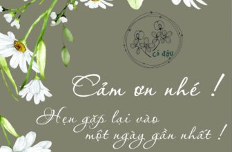 [🆕🇻🇳]  Cỏ Đậu – Thời trang trẻ em 🧑‍🧒❤️️👶⭐️  Shop gửi thương yêu
Shop xin chính thức nói lời tạm biệt cùng cả nhà . Cảm ơn ba mẹ và các bé đã thương yêu, ủng hộ tụi mình trong suốt thời gian qua .
D , shares-1✔️ , likes-9❤️️ , date-2025-08-25 04:21:54🇻🇳🇻🇳🇻🇳📰🆕