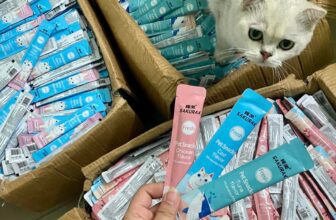 [🆕🇻🇳] Gấu Bông Pet Shop 🐶🦜 Top1Pets 🐱🐠  SIÊU HOT CHỈ #79K/1 THÙNG SÚP THƯỞNG SAKURAXSúp thưởng SAKURAX mới ra mắt siêu dưỡng với 3 vị siêu hấp dẫn: gà, cá ngừ, cá tuyết:Hạn sử dụng 24 thá , shares-1✔️ , likes-28❤️️ , date-2025-08-26 07:05:07🐶🐱🇻🇳🇻🇳🇻🇳📰🆕