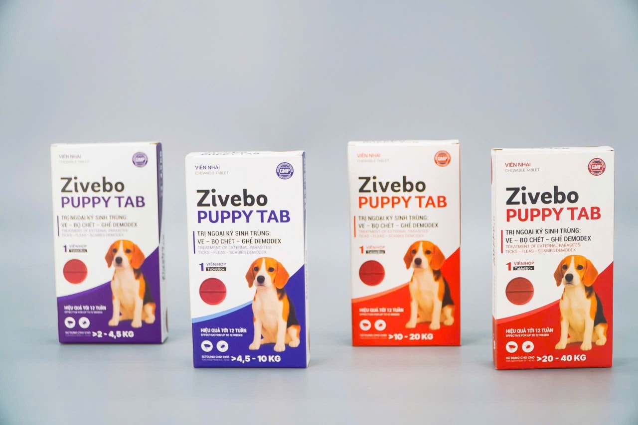[🆕🇻🇳] Phòng khám thú y Thiên Ân 🐶🦜 Top1Pets 🐱🐠  Zivebo Puppy Tab – Viên nhai trị ve, bọ chét, ghẻ Demodex cho chóChỉ 1 viên – hiệu quả tới 12 tuần
Đánh bay: Ve, bọ chét, ghẻ Demodex
Dễ cho ăn – dạ , shares-0✔️ , likes-6❤️️ , date-2025-08-27 23:57:54🐶🐱🇻🇳🇻🇳🇻🇳📰🆕
