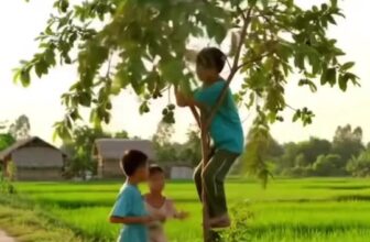 [🆕🇻🇳] Ký ức tuổi thơ ♥️️ Top1Life 🌱  Vội vã trưởng thành để rồi nhận ra tuổi thơ mới là điều tuyệt vời nhất… , shares-0✔️ , likes-13K❤️️ , date-2025-09-01 01:46:56🇻🇳🇻🇳🇻🇳📰🆕