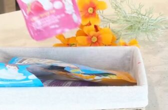 [🆕🇻🇳] Nhím Kids Store – Mango Kids – Ăn dặm cùng con 🧑‍🧒❤️️👶⭐️ BÁNH SỮA CHUA IVENET – NƠI 2 TỶ CHIẾN BINH BỤNG KHỎE BẮT ĐẦU HÀNH TRÌNH!
Mẹ có biết? Mỗi chiếc bánh sữa chua Ivenet bé yêu ăn chính là một “tòa thành mini , shares-0✔️ , likes-0❤️️ , date-2025-08-31 05:08:15🇻🇳🇻🇳🇻🇳📰🆕