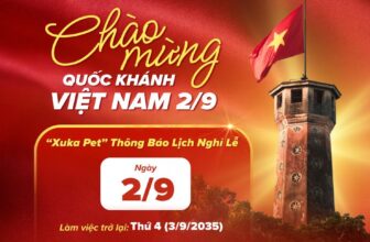 [🆕🇻🇳] Xuka Pet – Tiệm Làm Đẹp Thú Cưng 🐶🦜 Top1Pets 🐱🐠  CHÀO MỪNG NGÀY QUỐC KHÁNH 2/9Ngày 2/9 là dịp để mỗi chúng ta cùng nhìn lại lịch sử hào hùng, trân trọng những giá trị thiêng liêng của Tổ quốc và gửi g , shares-2✔️ , likes-5❤️️ , date-2025-09-02 08:10:43🐶🐱🇻🇳🇻🇳🇻🇳📰🆕