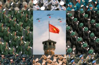 [🆕🇻🇳] Miiu n’ Meal – Fresh Pet Food HN 🐶🦜 Top1Pets 🐱🐠  Việt Nam nhất định sẽ phát triển văn minh, hùng cường, thịnh vượng!
, shares-29198✔️ , likes-375K❤️️ , date-2025-09-02 18:39:20🐶🐱🇻🇳🇻🇳🇻🇳📰🆕