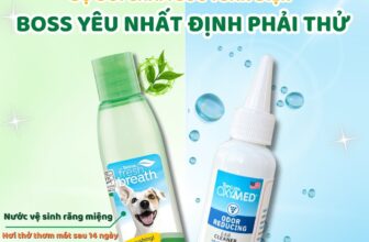 [🆕🇻🇳] Tropiclean Việt Nam –  Sản phẩm chăm sóc thú cưng số 1 tại Mỹ 🐶🦜 Top1Pets 🐱🐠  Combo chăm sóc toàn diện,  “Boss” yêu nhất định phải có!Sen thường chăm chút bộ lông “Boss” cưng, nhưng lại quên mất rằng tai và răng miệng cũng cần đư , shares-1✔️ , likes-0❤️️ , date-2025-09-06 16:00:32🐶🐱🇻🇳🇻🇳🇻🇳📰🆕