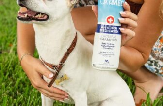 [🆕🇻🇳] Hello Petshop – Thức ăn & Phụ kiện thú cưng 🐶🦜 Top1Pets 🐱🐠  Tạm biệt cơn ngứa gãi cho thú cưng!TropiClean OxyMed giúp cấp ẩm sâu siêu tốc cho da và làm dịu da nhanh chóng nhờ chiết xuất Yến mạch, beta hydroxy, o , shares-0✔️ , likes-2❤️️ , date-2025-09-06 03:33:40🐶🐱🇻🇳🇻🇳🇻🇳📰🆕