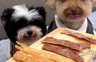 [🆕🇻🇳] Em Bé Tên Dâu bé 🐶🦜 Top1Pets 🐱🐠 Heo Sấy Và Gà Sấy Nhà Cái Lò Sấy Có Gì Đặc Biệt?Tụi mình là 𝐂𝐚́𝐢 𝐋𝐨̀ 𝐒𝐚̂́𝐲 – nơi chuyên làm ra những món ăn vặt siêu ngon và lành mạnh dành riêng cho các , shares-0✔️ , likes-1❤️️ , date-2025-09-03 19:30:08🐶🐱🇻🇳🇻🇳🇻🇳📰🆕