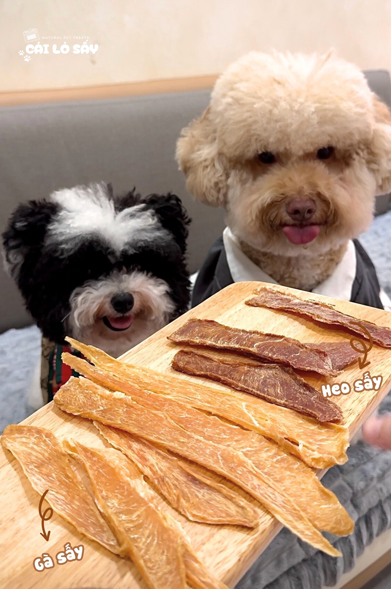 [🆕🇻🇳] Baby Care – Bé Vui Khoẻ, Mẹ An Tâm 🧑‍🧒❤️️👶⭐️  , shares-0✔️ , likes-0❤️️ , date-🇻🇳🇻🇳🇻🇳📰🆕