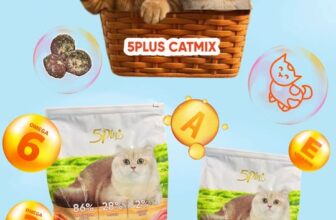 [🆕🇻🇳] An Việt Tiến 🐶🦜 Top1Pets 🐱🐠 Catmix Chicken Floss mix ruốc gà 5kg siêu chất lượng
Vừa ngon – Vừa chất lượng – Hạt dẻ
Giàu omega 3-6, vitamin A & E giúp mèo luôn óng ả như vừa đi spa! , shares-0✔️ , likes-5❤️️ , date-2025-09-05 18:39:13🐶🐱🇻🇳🇻🇳🇻🇳📰🆕