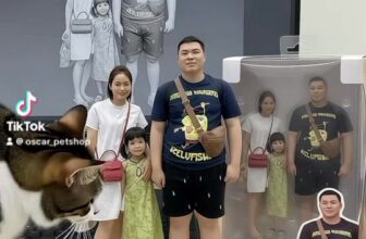 [🆕🇻🇳] Oscar Pet – Làm đẹp thú cưng – Grooming Spa & Hotel 🐶🦜 Top1Pets 🐱🐠 Sao phá quá vậy con. , shares-0✔️ , likes-1❤️️ , date-2025-09-08 18:46:25🐶🐱🇻🇳🇻🇳🇻🇳📰🆕