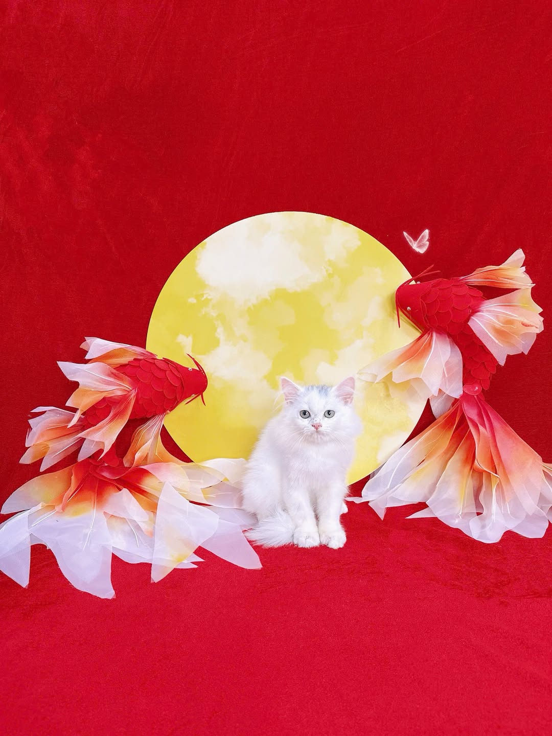 [🆕🇻🇳] Buddy Pets 🐶🦜 Top1Pets 🐱🐠  Trung thu không chỉ có bánh, mà còn có boss xinh!
Ghé spa để bé cưng tỏa sáng cùng ánh trăng nào———✿✿——–
BUDDY PETS
Hotline: 0966 3000 42 , shares-0✔️ , likes-4❤️️ , date-2025-09-09 18:33:15🐶🐱🇻🇳🇻🇳🇻🇳📰🆕