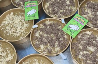 [🆕🇻🇳] Pate Tươi Bún Đậu Mắm Meo 🐶🦜 Top1Pets 🐱🐠 Bao nhiu năm nấu Pate gòi, mình vẫn luôn cố gắng nấu ngon hơn mỗi ngàyCảm ơn các mối ruột luôn ủng hộ Pate mình nhiều năm qua, cũng xin lỗi các khách hàn , shares-0✔️ , likes-3❤️️ , date-2025-09-13 01:37:27🐶🐱🇻🇳🇻🇳🇻🇳📰🆕