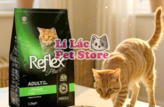 [🆕🇻🇳] Lí Lắc Pet Store – Shop Thú Cưng Quận 11 🐶🦜 Top1Pets 🐱🐠  Hạt Reflex Plus Adult Cat Food Chicken 1.5Kg – Dinh dưỡng trọn vẹn cho mèo trưởng thànhDành cho mèo trên 12 tháng tuổi, cân nặng 2–10kg
Giàu Omega 3  , shares-1✔️ , likes-1❤️️ , date-2025-09-08 22:22:39🐶🐱🇻🇳🇻🇳🇻🇳📰🆕