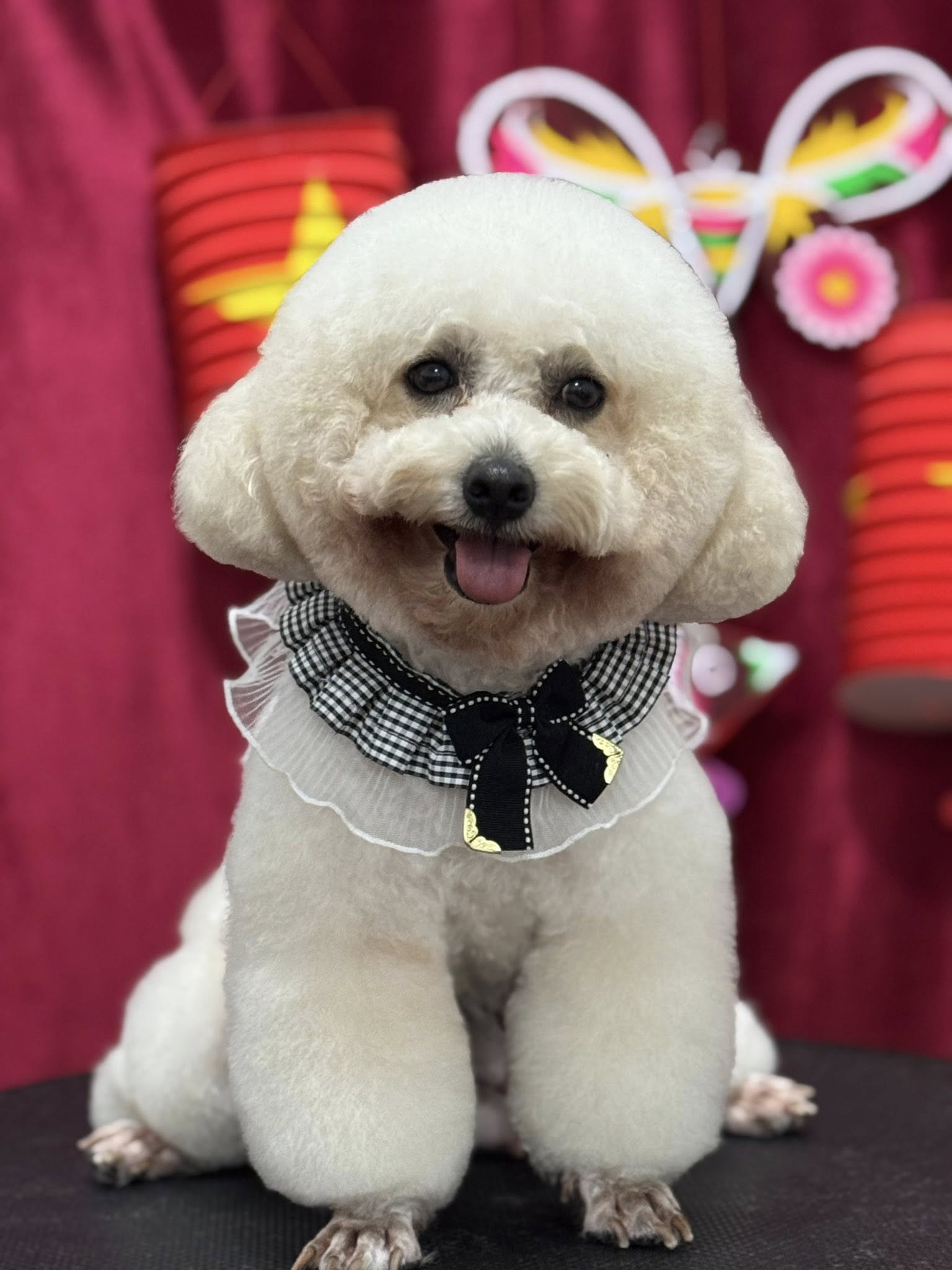 [🆕🇻🇳] CiciPets – Tiệm làm đẹp thú cưng 🐶🦜 Top1Pets 🐱🐠  Mưa gió cũng không làm khó bé  đi làm đẹp được
Cici free đón Boss bán kính 4km nha BaMe ơiii
Aloo đặt lịch cho bé không đợi lâu nhé!
Đặt lịch trước  , shares-1✔️ , likes-5❤️️ , date-2025-09-08 23:54:18🐶🐱🇻🇳🇻🇳🇻🇳📰🆕