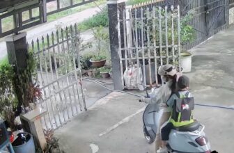 [🆕🇻🇳] TiKids Fashion – Quần Áo Trẻ Em 🧑‍🧒❤️️👶⭐️ Thua grab mỗi cái áo xanhẢnh Nguyễn Lèo
, shares-293✔️ , likes-52K❤️️ , date-2025-09-11 18:00:13🇻🇳🇻🇳🇻🇳📰🆕