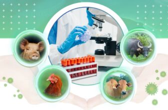 [🆕🇻🇳] Vet24h Academy 🐶🦜 Top1Pets 🐱🐠  CHĂN NUÔI AN TOÀN – BẮT ĐẦU TỪ MỘT LẦN XÉT NGHIỆMTại Việt Nam, tình hình dịch bệnh trên đàn gia súc và gia cầm vẫn phức tạp và khó lường. Dịch tả lợn, c , shares-0✔️ , likes-4❤️️ , date-2025-09-12 03:00:40🐶🐱🇻🇳🇻🇳🇻🇳📰🆕