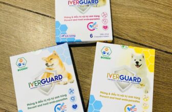 [🆕🇻🇳] Nhà Phân Phối Thuốc Thú Y Và Thức Ăn Gia Súc Kim Cương 👕 Top1Fashion 👗   𝐇𝐚̀𝐧𝐠 𝐦𝐨̛́𝐢 𝐯𝐞̂̀
𝑰𝒗𝒆𝒓𝑮𝒖𝒂𝒓𝒅 – 𝑷𝒉𝒐̀𝒏𝒈 𝒏𝒈𝒖̛̀𝒂 𝒈𝒊𝒖𝒏 𝒕𝒊𝒎 𝒄𝒉𝒐 𝒄𝒖́𝒏 𝒚𝒆̂𝒖 𝒄𝒖̉𝒂 𝒃𝒂̣𝒏
——————————-
Chuyên cung cấp sỉ và lẻ các sản phẩm thuốc  , shares-1✔️ , likes-0❤️️ , date-2025-09-15 04:55:44🇻🇳🇻🇳🇻🇳📰🆕