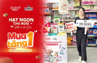 [🆕🇻🇳] Today’s dinner Việt Nam – Thức ăn cân bằng dinh dưỡng cho thú cưng 🐶🦜 Top1Pets 🐱🐠  SEN BUÔN MA THUỘT ƠI – DEAL HOT ĐỔ BỘ KING PET!Cuối tuần này, King Pet nhộn nhịp hết nấc khi Today’s Dinner & Dog Mania mang theo cả rừng quà xinh chờ  , shares-0✔️ , likes-11❤️️ , date-2025-09-13 18:58:50🐶🐱🇻🇳🇻🇳🇻🇳📰🆕