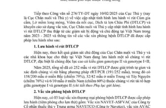 [🆕🇻🇳] Vet24h Academy 🐶🦜 Top1Pets 🐱🐠 CẬP NHẬT TÌNH HÌNH LƯU HÀNH VI RÚT DỊCH TẢ LỢN CHÂU PHI VÀ VẮC XIN PHÒNG BỆNH DỊCH TẢ LỢN CHÂU PHITài liệu do Cục Chăn nuôi và Thú y ban hành ngày 12.9.2 , shares-14✔️ , likes-36❤️️ , date-2025-09-16 12:54:21🐶🐱🇻🇳🇻🇳🇻🇳📰🆕