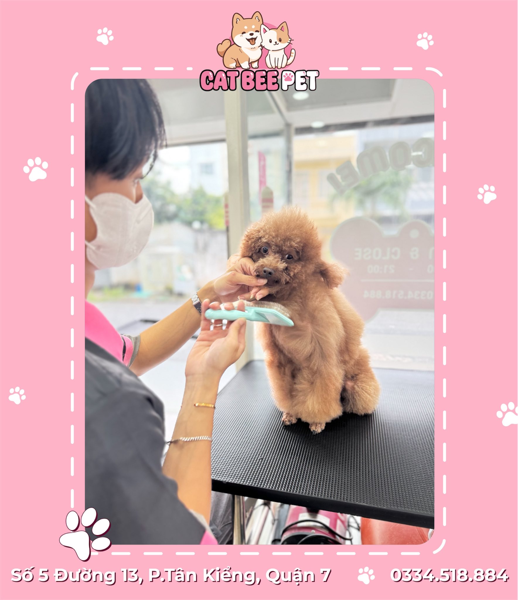 [🆕🇻🇳] Cat Bee Pet – Hotel & Spa Thú Cưng 🐶🦜 Top1Pets 🐱🐠 Đông vui thế nhờ𝐓𝐫𝐮̛𝐨̛𝐧𝐠 𝐭𝐫𝐢̀𝐧𝐡 𝐤𝐡𝐮𝐲𝐞̂́𝐧 𝐦𝐚̃𝐢
𝐆𝐢𝐚̉𝐦 5% 𝐶ℎ𝑜 𝑘𝘩𝑎́𝘤ℎ 𝑙𝘢̂̀𝑛 đ𝘢̂̀𝑢 𝑐𝘩𝑒𝘤𝑘 𝑖𝘯 𝘵𝑎̣𝘪 𝘧𝑎𝘯𝑝𝘢𝑔𝘦 𝘴ℎ𝘰𝑝
𝐆𝐢𝐚̉𝐦 10% 𝐶𝘩𝑜 𝑘𝘩𝑎́𝘤ℎ 𝑙𝘢̂̀𝑛 đ𝘢̂̀𝑢 𝑐𝘩𝑒𝘤𝑘 𝑖𝘯 𝘷𝑎 , shares-1✔️ , likes-7❤️️ , date-2025-09-13 22:22:50🐶🐱🇻🇳🇻🇳🇻🇳📰🆕