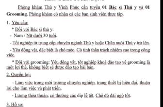 [🆕🇻🇳] Phòng khám Thú Y Vĩnh Phúc 🐶🦜 Top1Pets 🐱🐠 Góc tìm đồng đội
, shares-1✔️ , likes-11❤️️ , date-2025-09-16 02:32:42🐶🐱🇻🇳🇻🇳🇻🇳📰🆕
