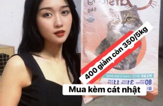 [🆕🇻🇳] Ruby Pet – Spa & Coffee 🐶🦜 Top1Pets 🐱🐠 Bình luận đã bị tắt cho bài viết này.
, shares-0✔️ , likes-1❤️️ , date-2025-09-17 22:37:58🐶🐱🇻🇳🇻🇳🇻🇳📰🆕